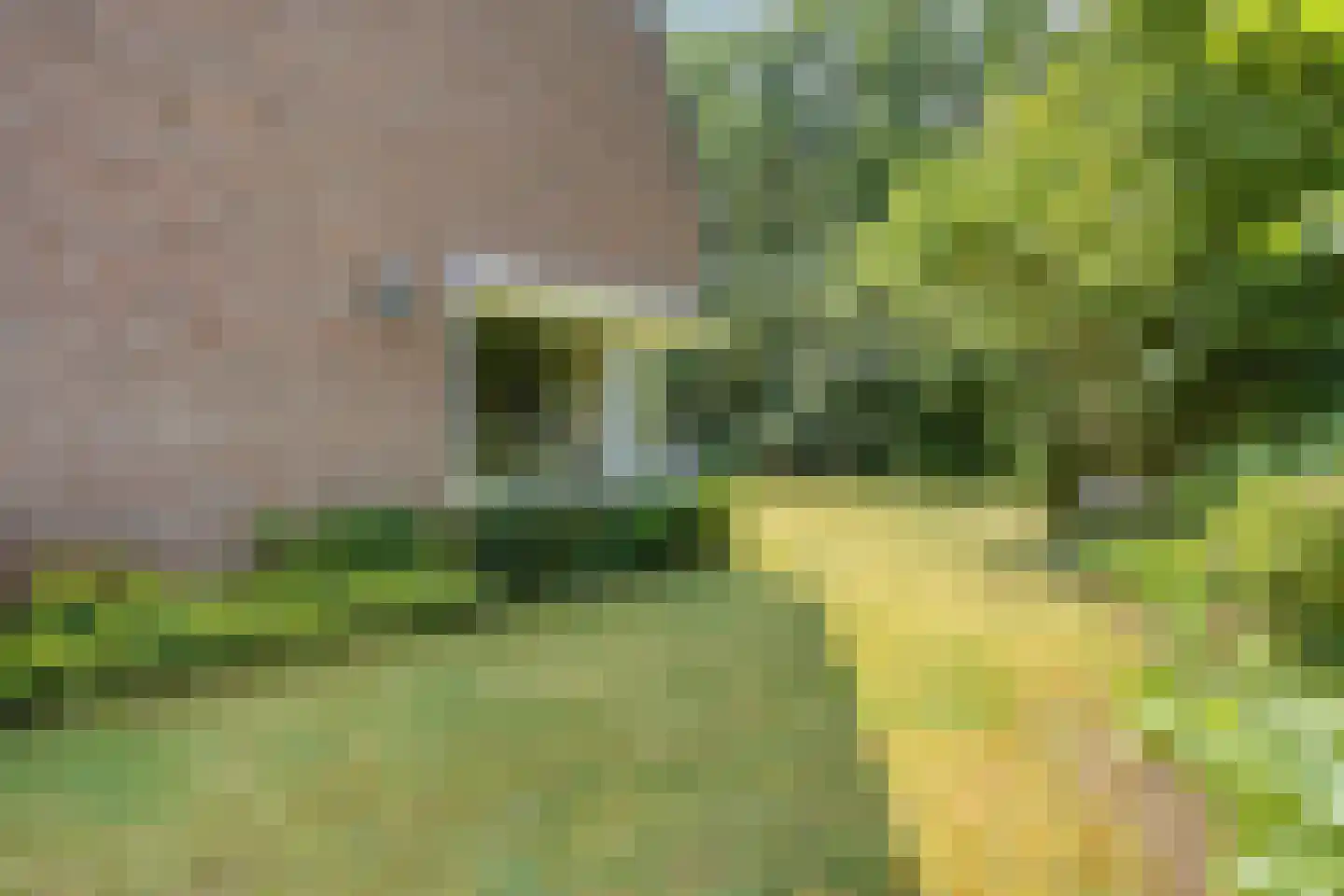 Kouwenberg 72 Cuijk thumbnail 47