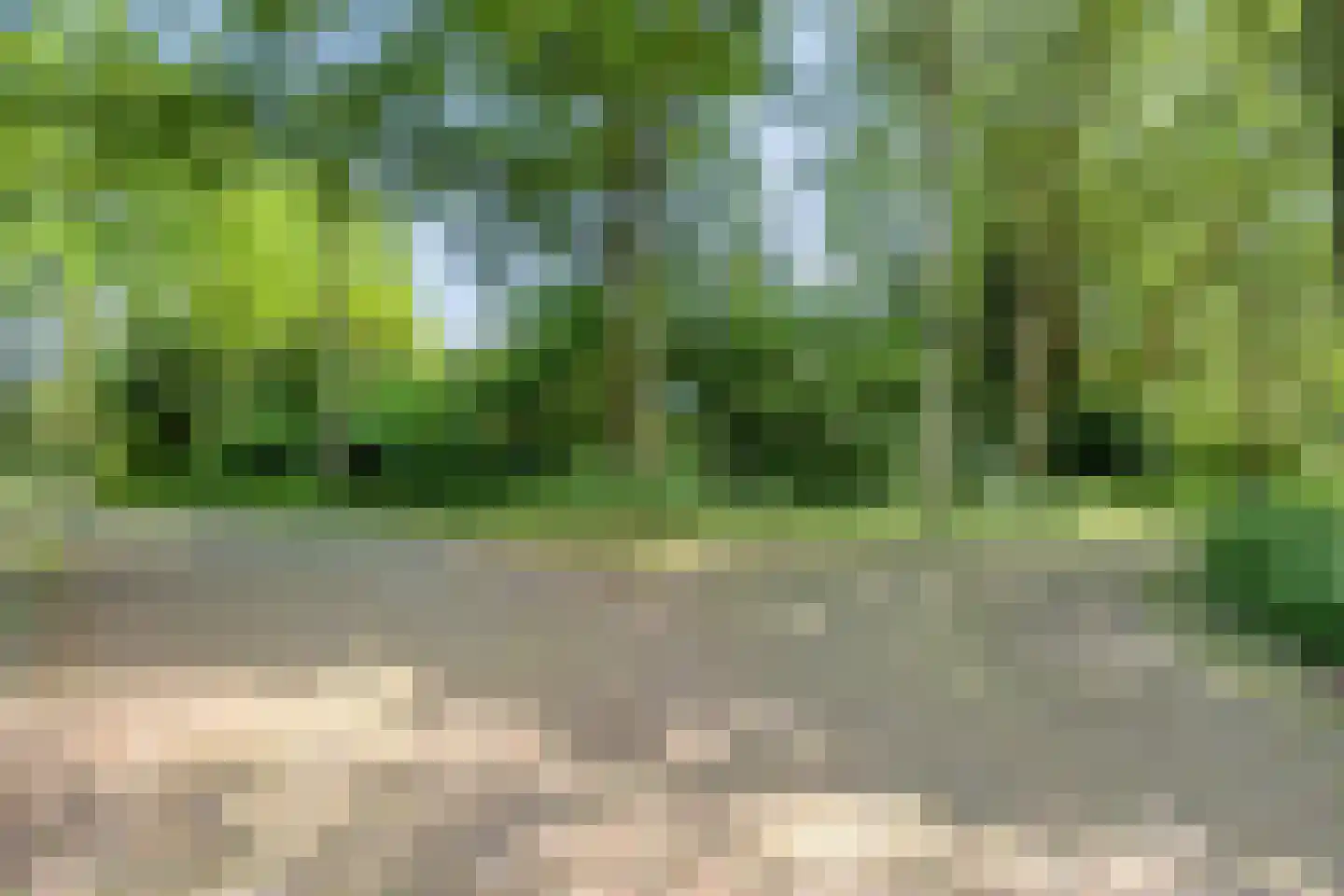 Kouwenberg 72 Cuijk thumbnail 5