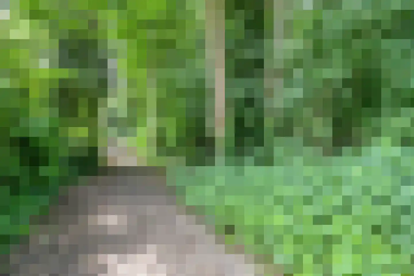 Kouwenberg 72 Cuijk thumbnail 53