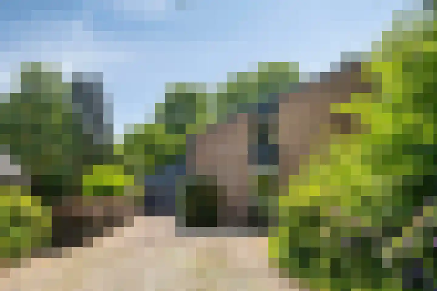 Kouwenberg 72 Cuijk thumbnail 6