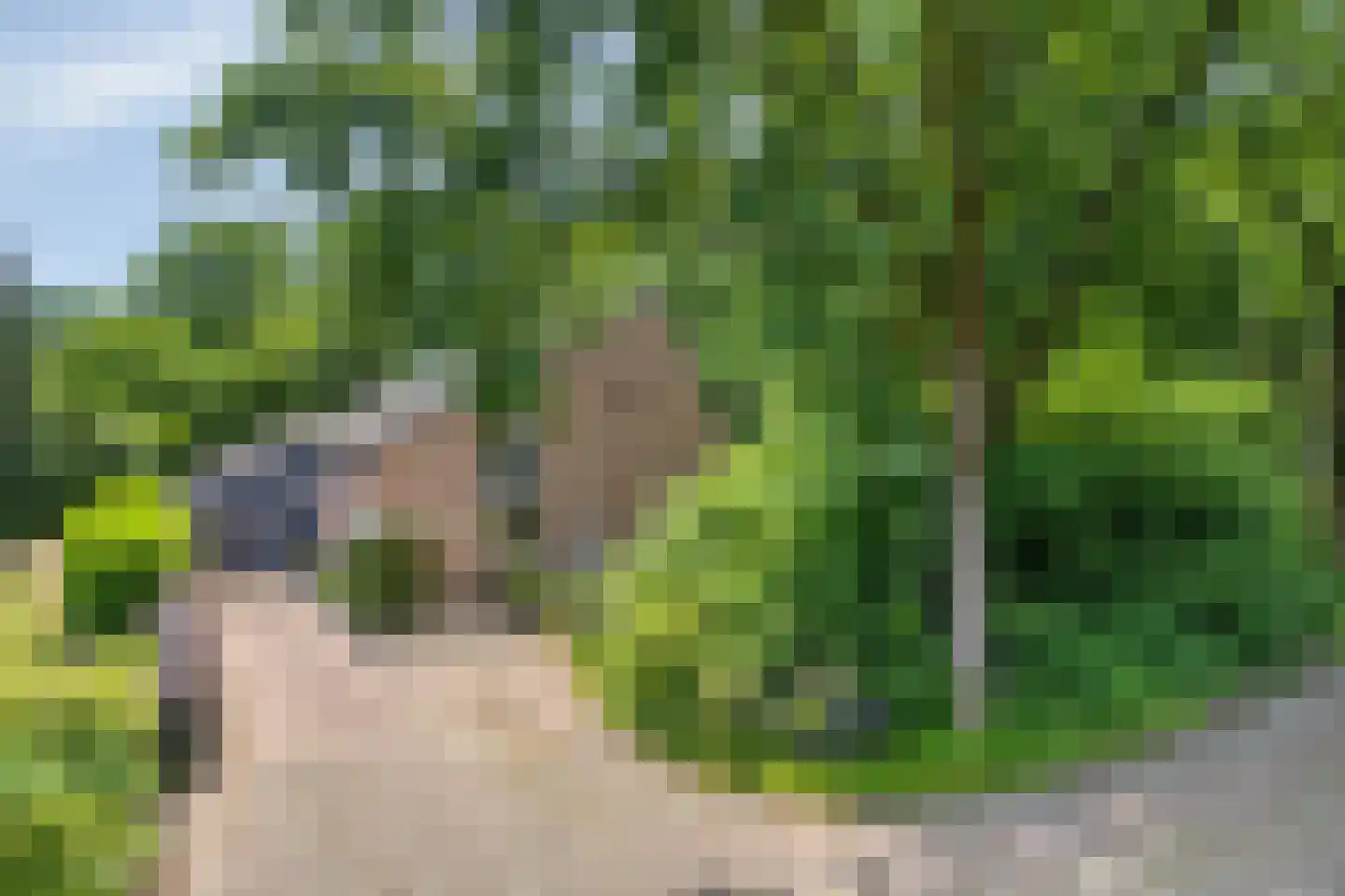 Kouwenberg 72 Cuijk thumbnail 7