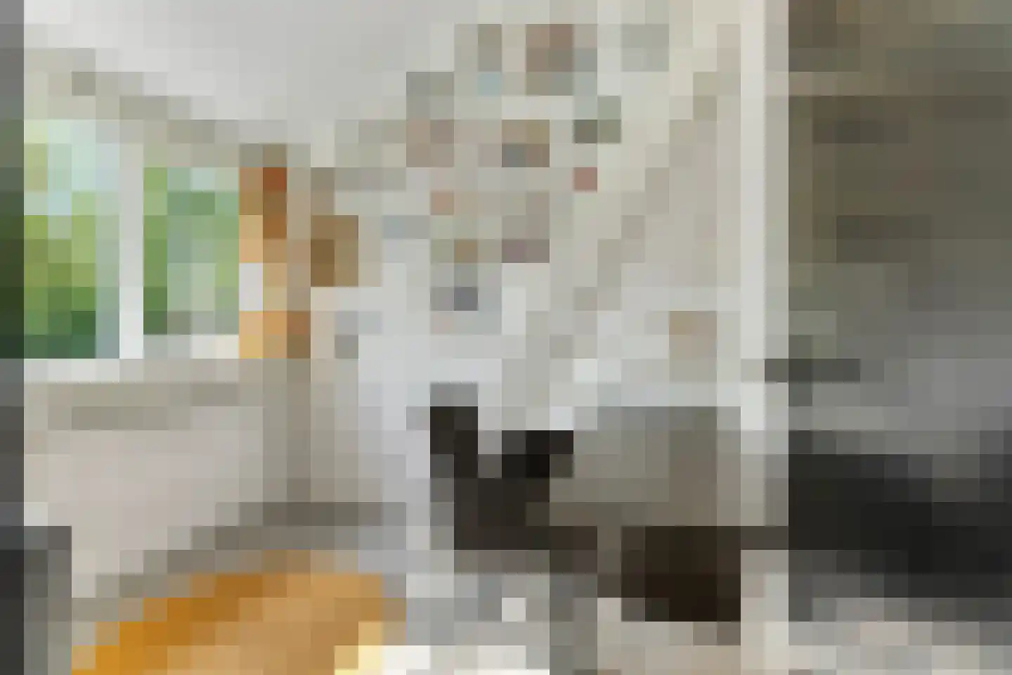 Kouwenberg 9 Cuijk thumbnail 49