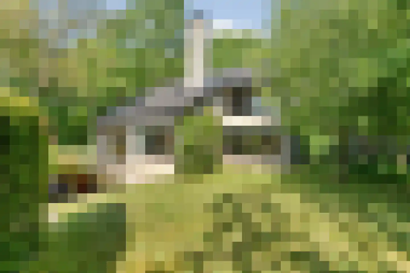 Kouwenberg 9 Cuijk thumbnail 62