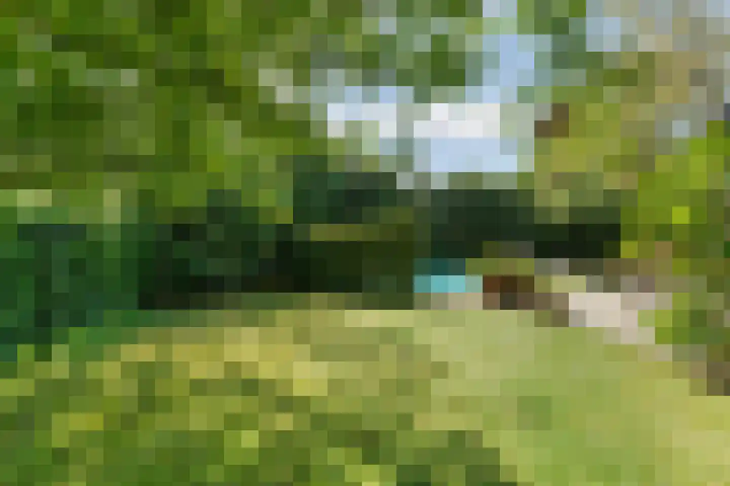Kouwenberg 9 Cuijk thumbnail 63
