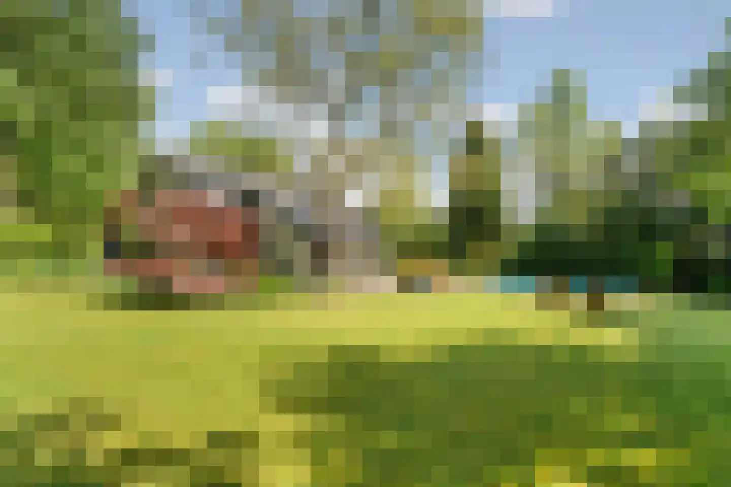 Kouwenberg 9 Cuijk thumbnail 64