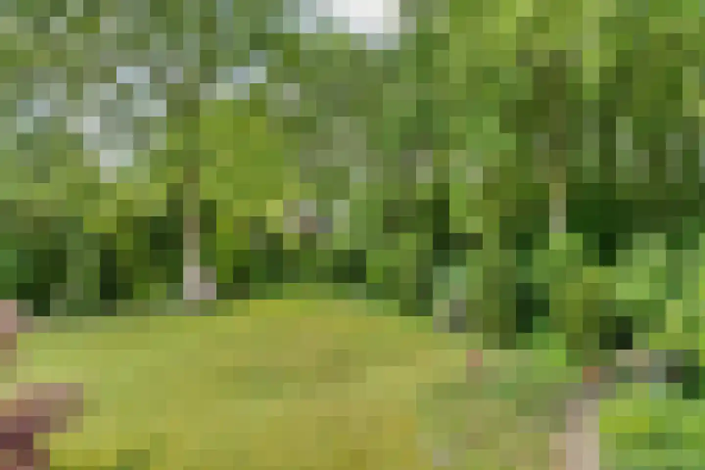 Kouwenberg 9 Cuijk thumbnail 67