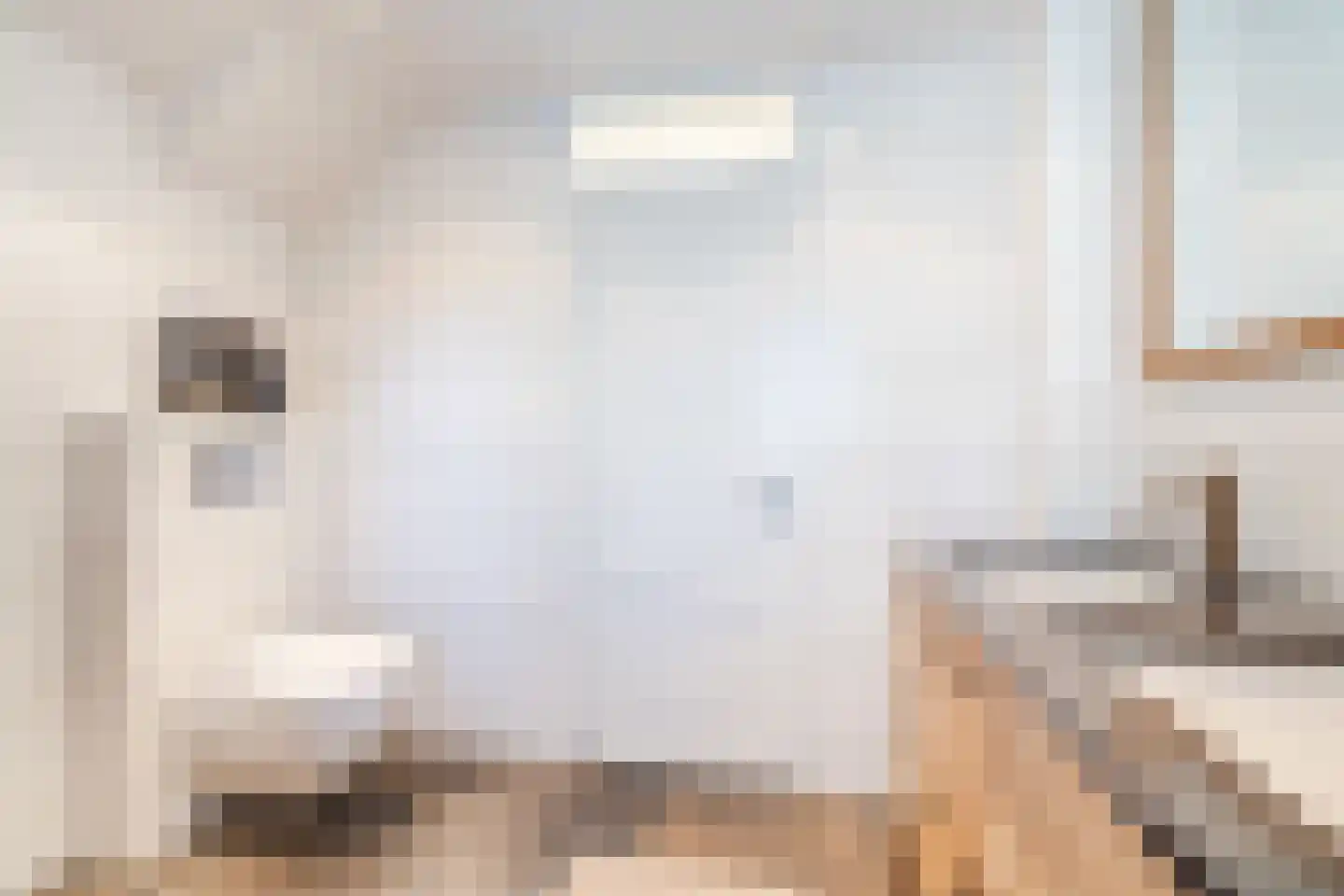 Kouwenberg 90 Cuijk thumbnail 32