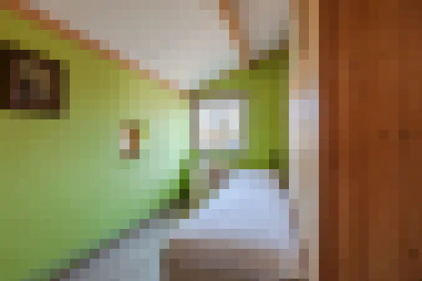 Kouwenberg 92 Cuijk thumbnail 24