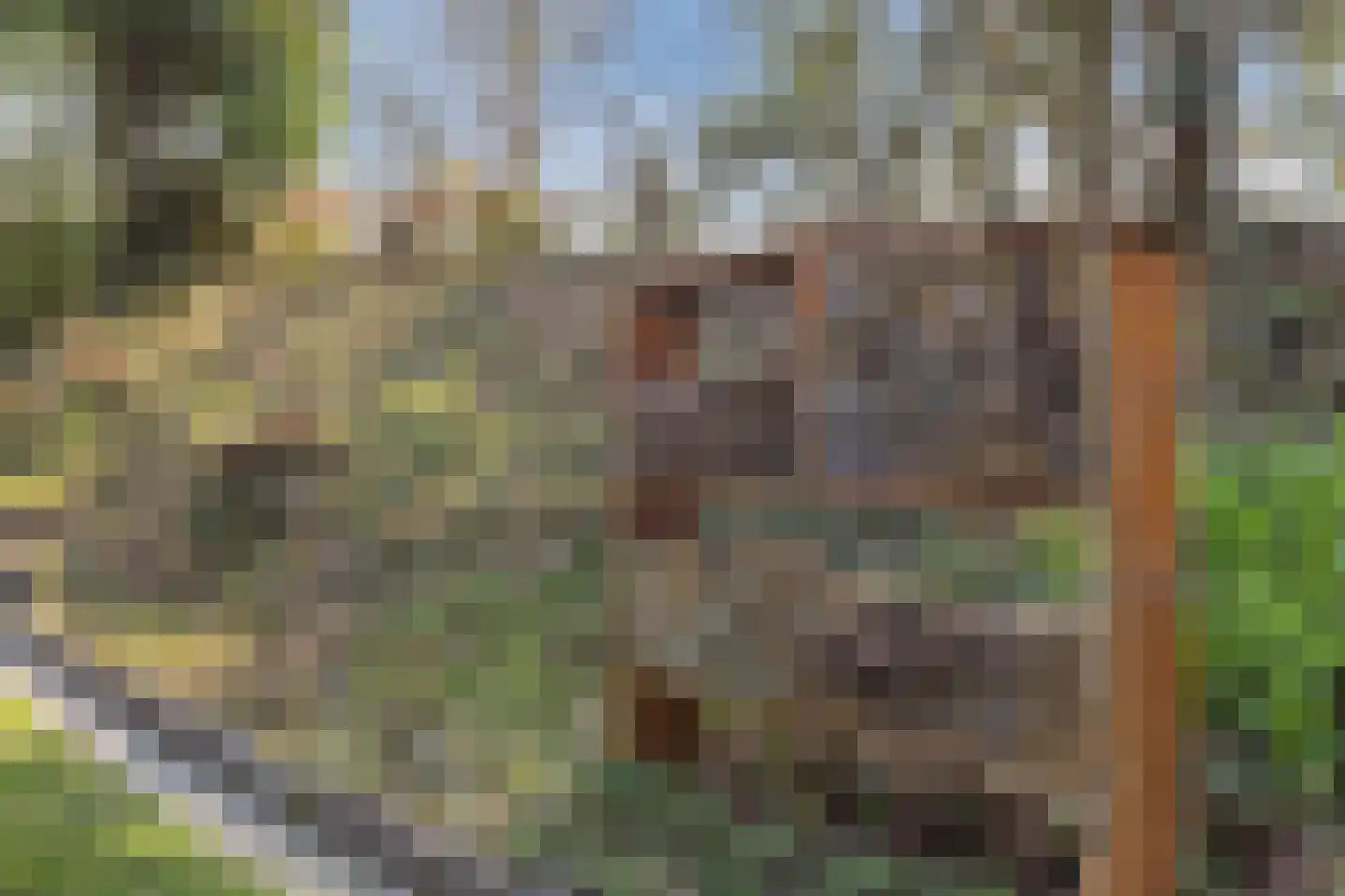 Kouwenberg 92 Cuijk thumbnail 38