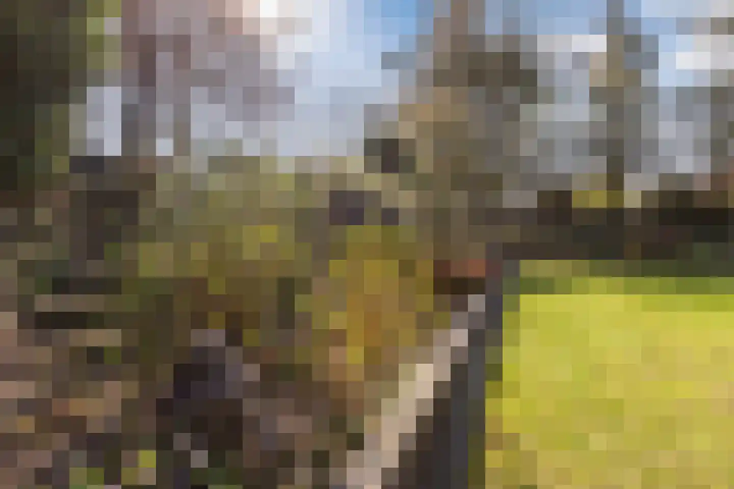 Kouwenberg 92 Cuijk thumbnail 39