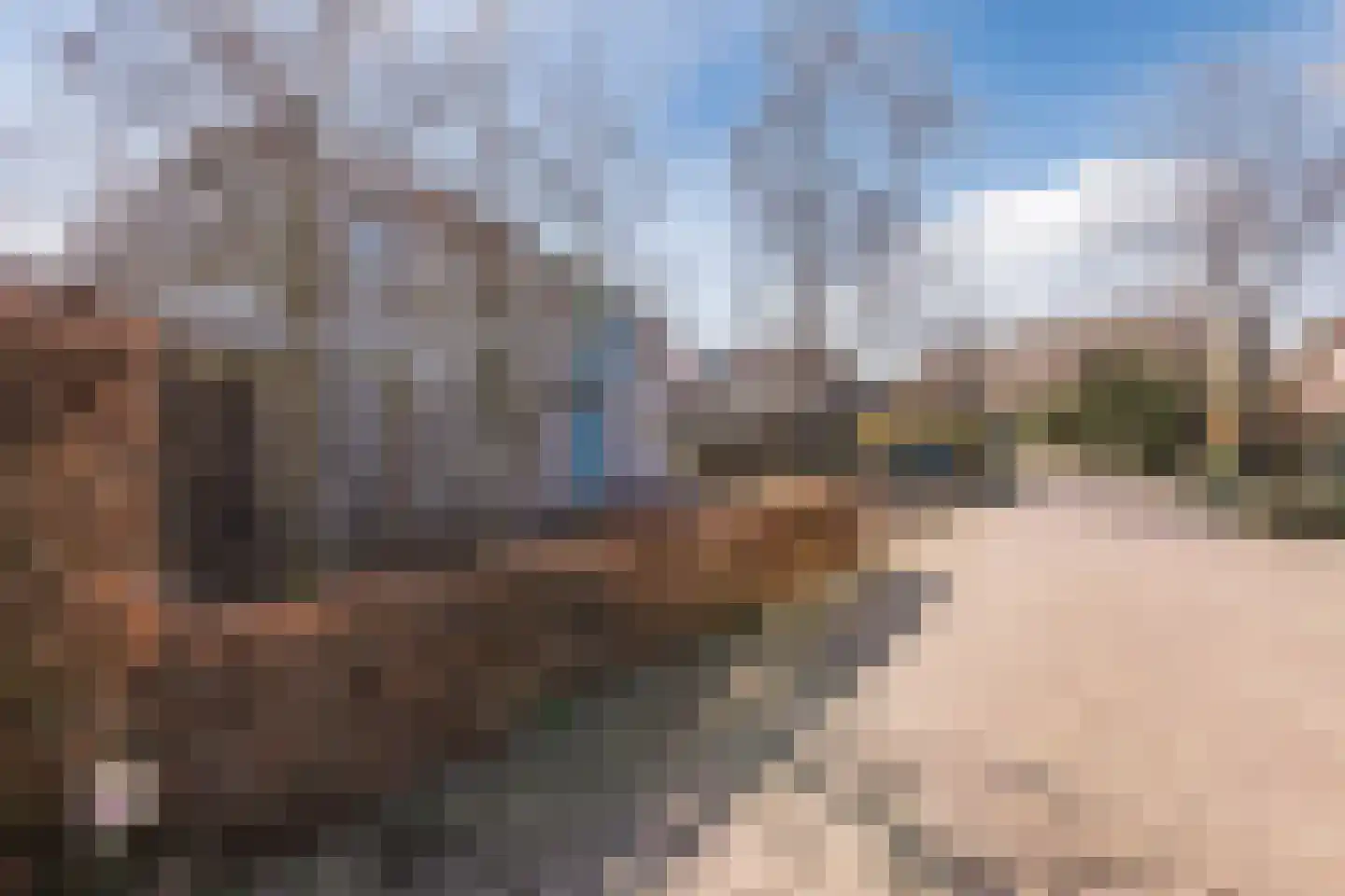 Kouwenberg 92 Cuijk thumbnail 41