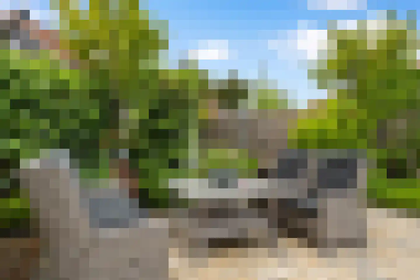 Kouwenhoven-akker 8 Barendrecht thumbnail 43