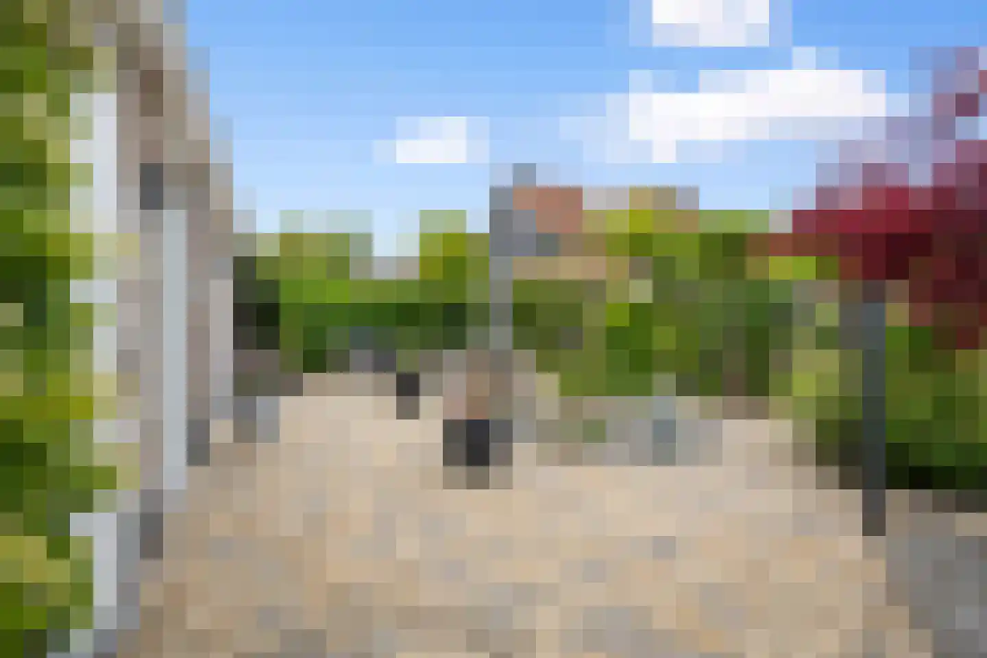 Kouwenhoven-akker 8 Barendrecht thumbnail 45
