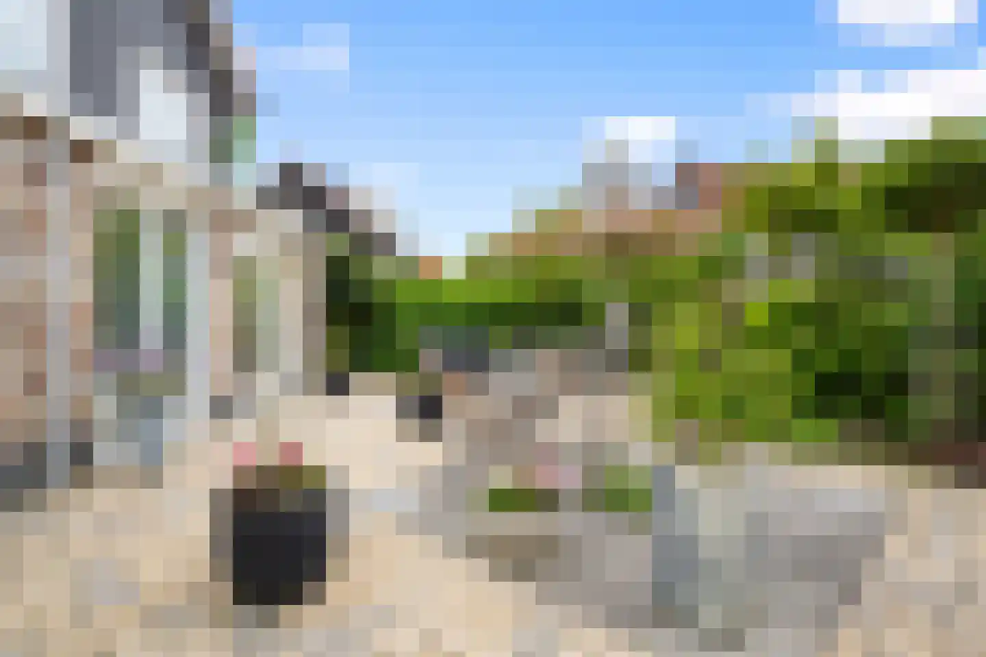 Kouwenhoven-akker 8 Barendrecht thumbnail 46