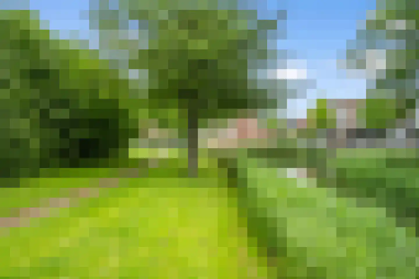 Kouwenhoven-akker 8 Barendrecht thumbnail 7