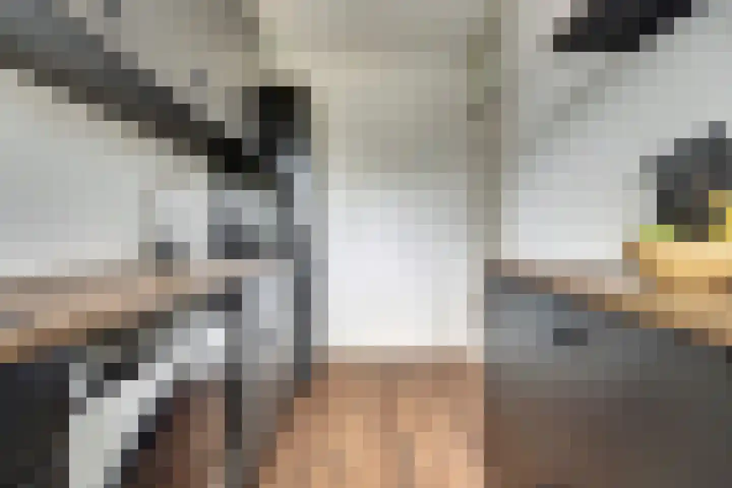 Kouwenoord 49 Rotterdam thumbnail 12