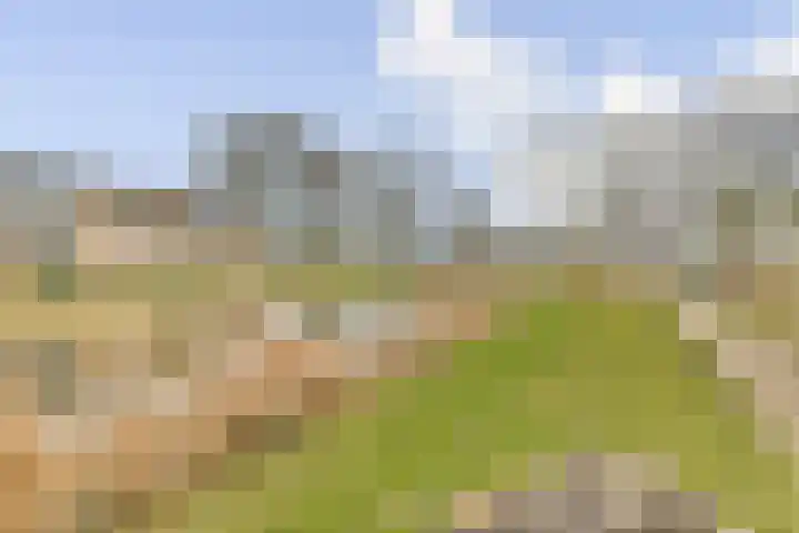 Kouwenoord 53 Rotterdam thumbnail 25