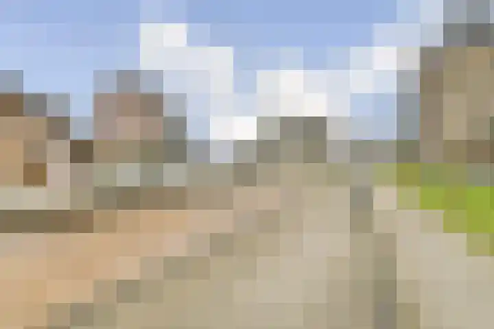 Kouwenoord 53 Rotterdam thumbnail 27