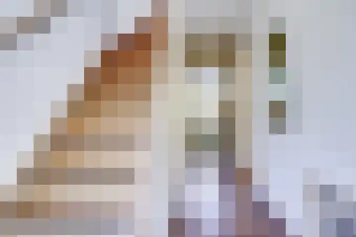 Kouwerplantsoen 10 Utrecht thumbnail 15