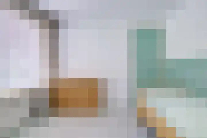Kouwerplantsoen 10 Utrecht thumbnail 19