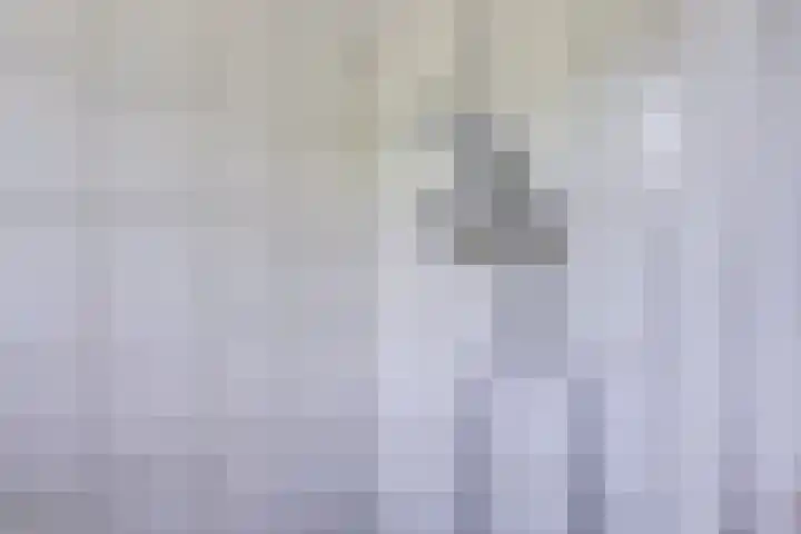 Kouwerplantsoen 10 Utrecht thumbnail 23