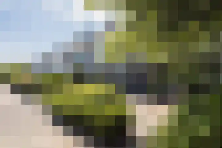 Kouwerplantsoen 10 Utrecht thumbnail 30