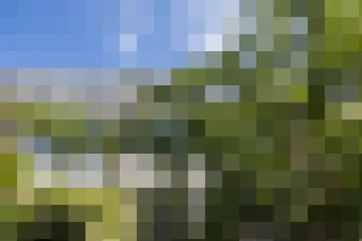 Kouwerplantsoen 10 Utrecht thumbnail 31