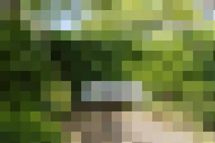Kouwerplantsoen 10 Utrecht thumbnail 32