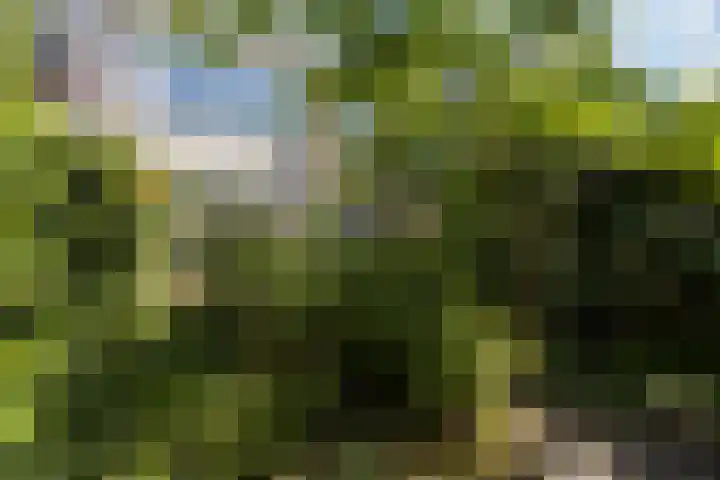 Kouwerplantsoen 10 Utrecht thumbnail 33