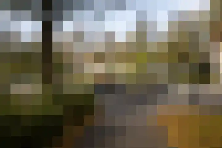 Kouwerplantsoen 10 Utrecht thumbnail 34