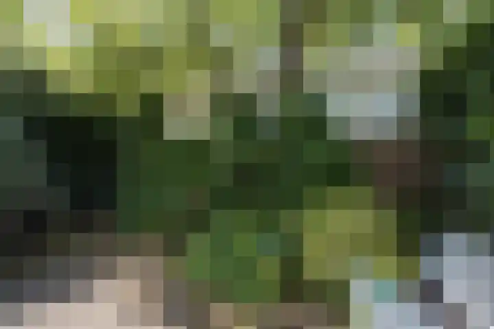 Kouwerplantsoen 10 Utrecht thumbnail 35