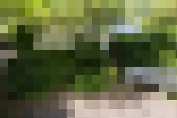 Kouwerplantsoen 10 Utrecht thumbnail 36