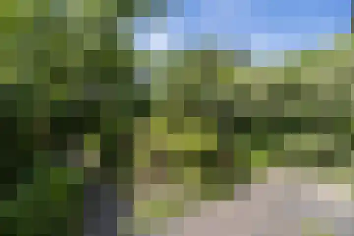 Kouwerplantsoen 10 Utrecht thumbnail 38