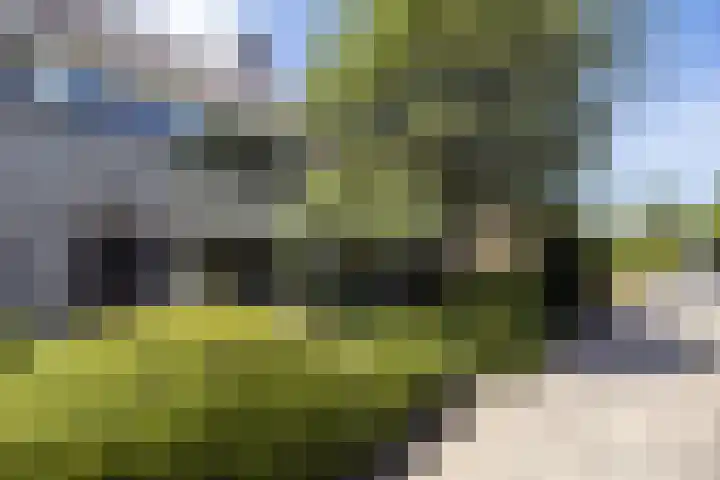 Kouwerplantsoen 10 Utrecht thumbnail 4