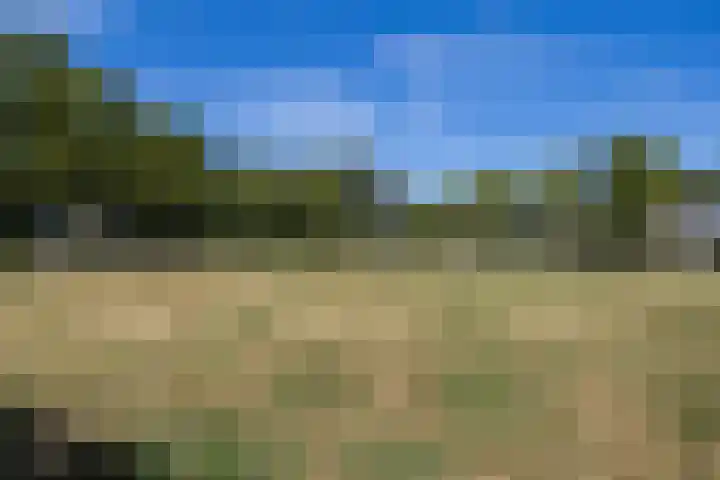 Kouwerplantsoen 10 Utrecht thumbnail 41