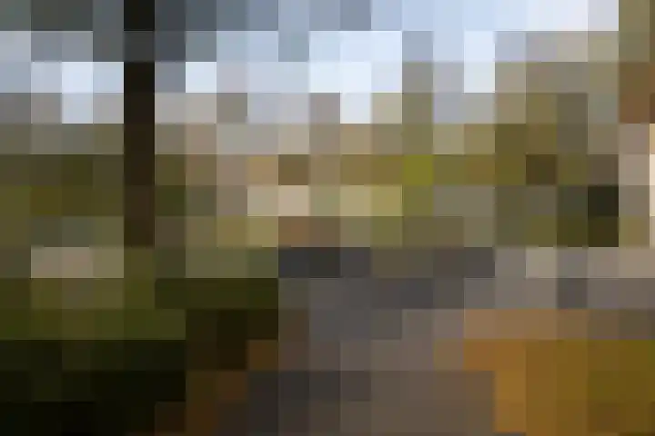 Kouwerplantsoen 10 Utrecht thumbnail 42