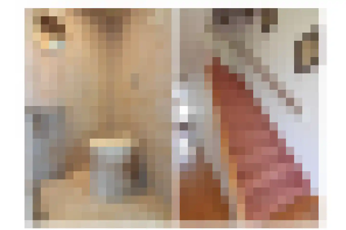 Kouwerplantsoen 81 Utrecht thumbnail 13