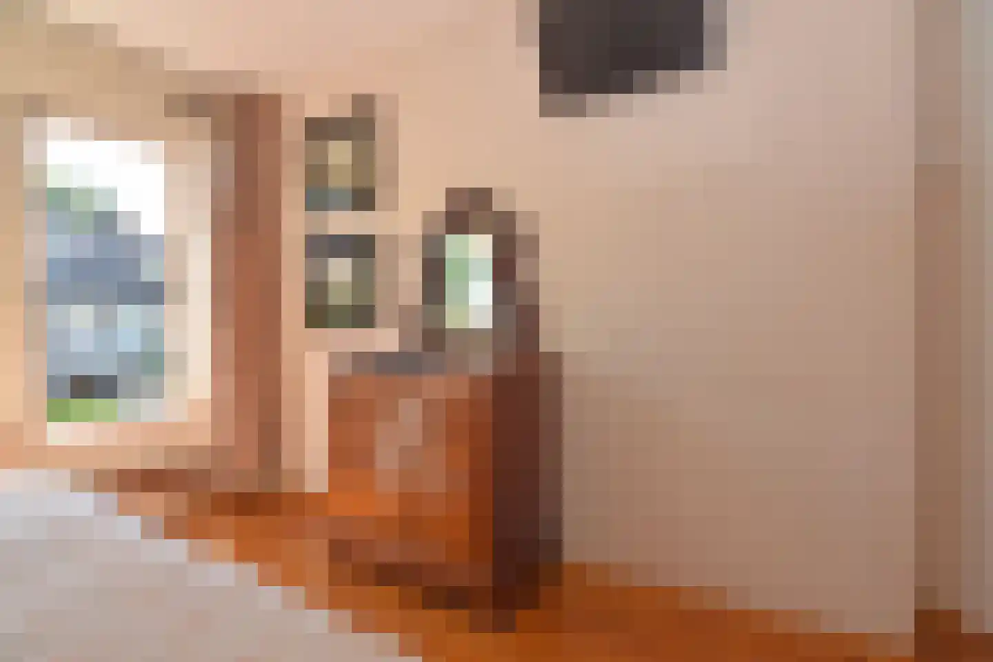Kouwerplantsoen 81 Utrecht thumbnail 16