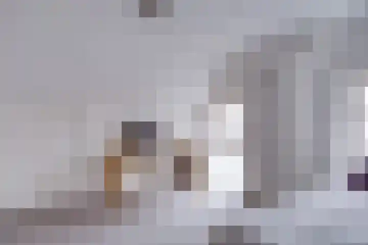 Kouwerplantsoen 89 Utrecht thumbnail 38