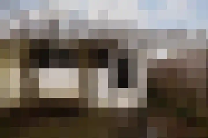 Kouwerplantsoen 89 Utrecht thumbnail 44