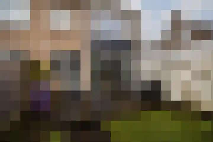 Kouwerplantsoen 89 Utrecht thumbnail 48