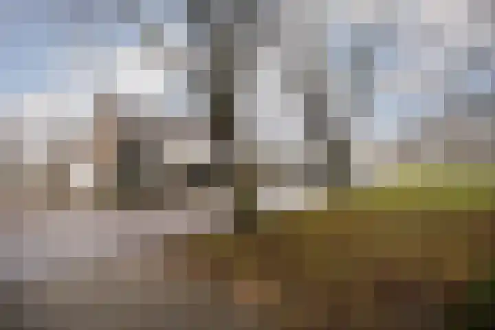 Kouwerplantsoen 89 Utrecht thumbnail 5