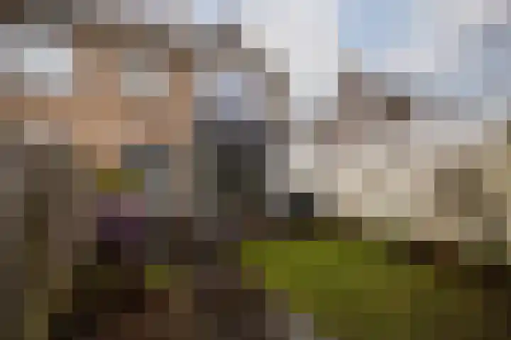 Kouwerplantsoen 89 Utrecht thumbnail 49