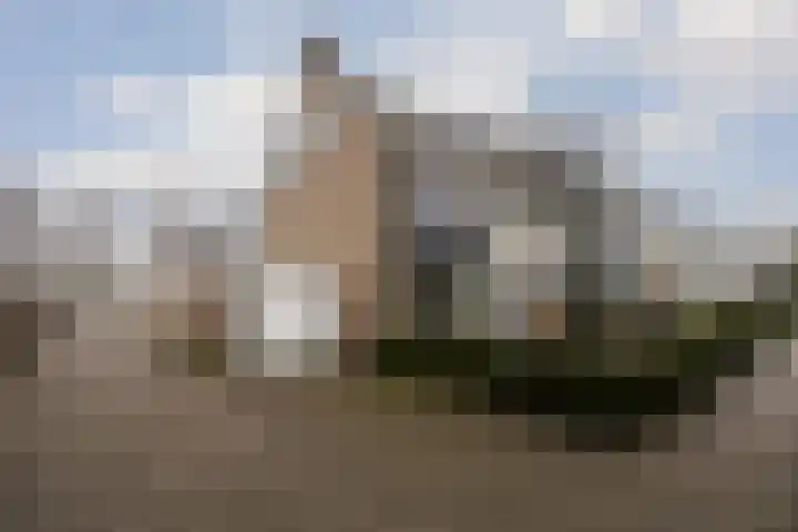 Kouwerplantsoen 89 Utrecht thumbnail 50