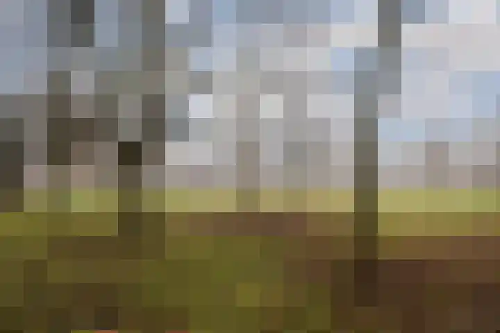Kouwerplantsoen 89 Utrecht thumbnail 54