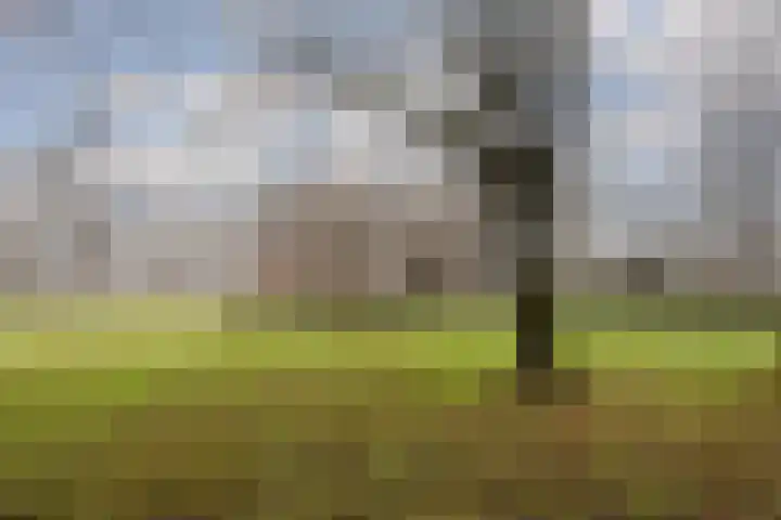 Kouwerplantsoen 89 Utrecht thumbnail 55