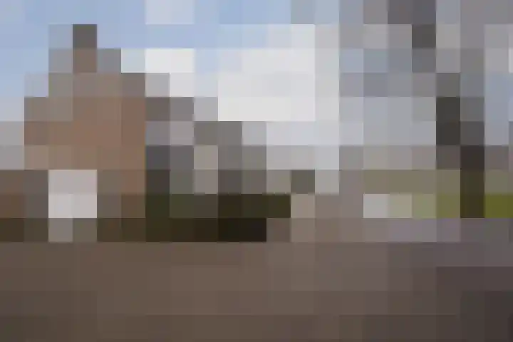 Kouwerplantsoen 89 Utrecht thumbnail 56