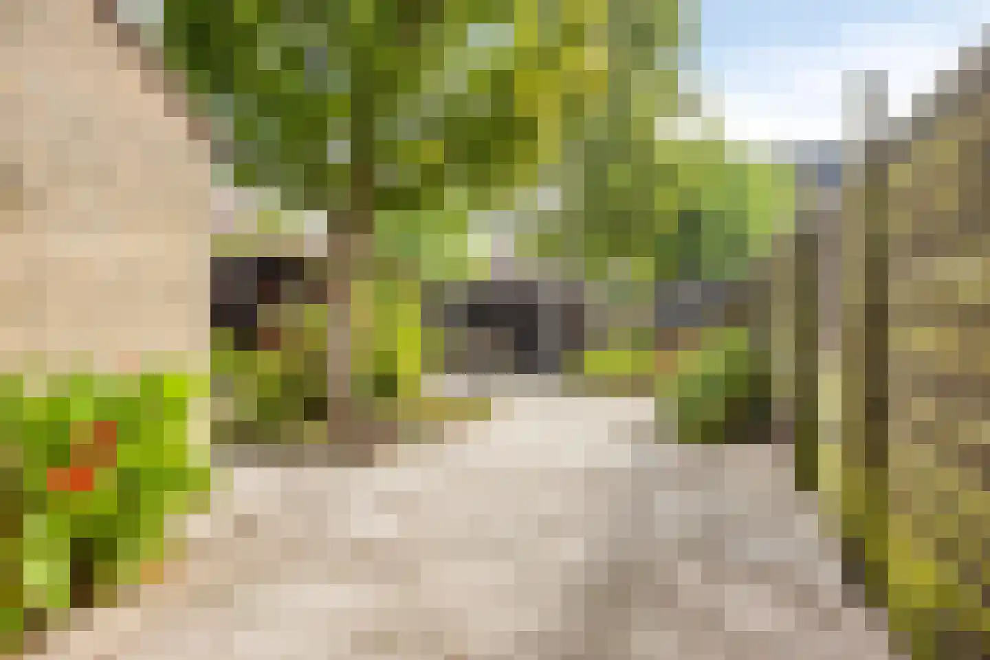 Kouwerve 1 Bergen op Zoom thumbnail 30