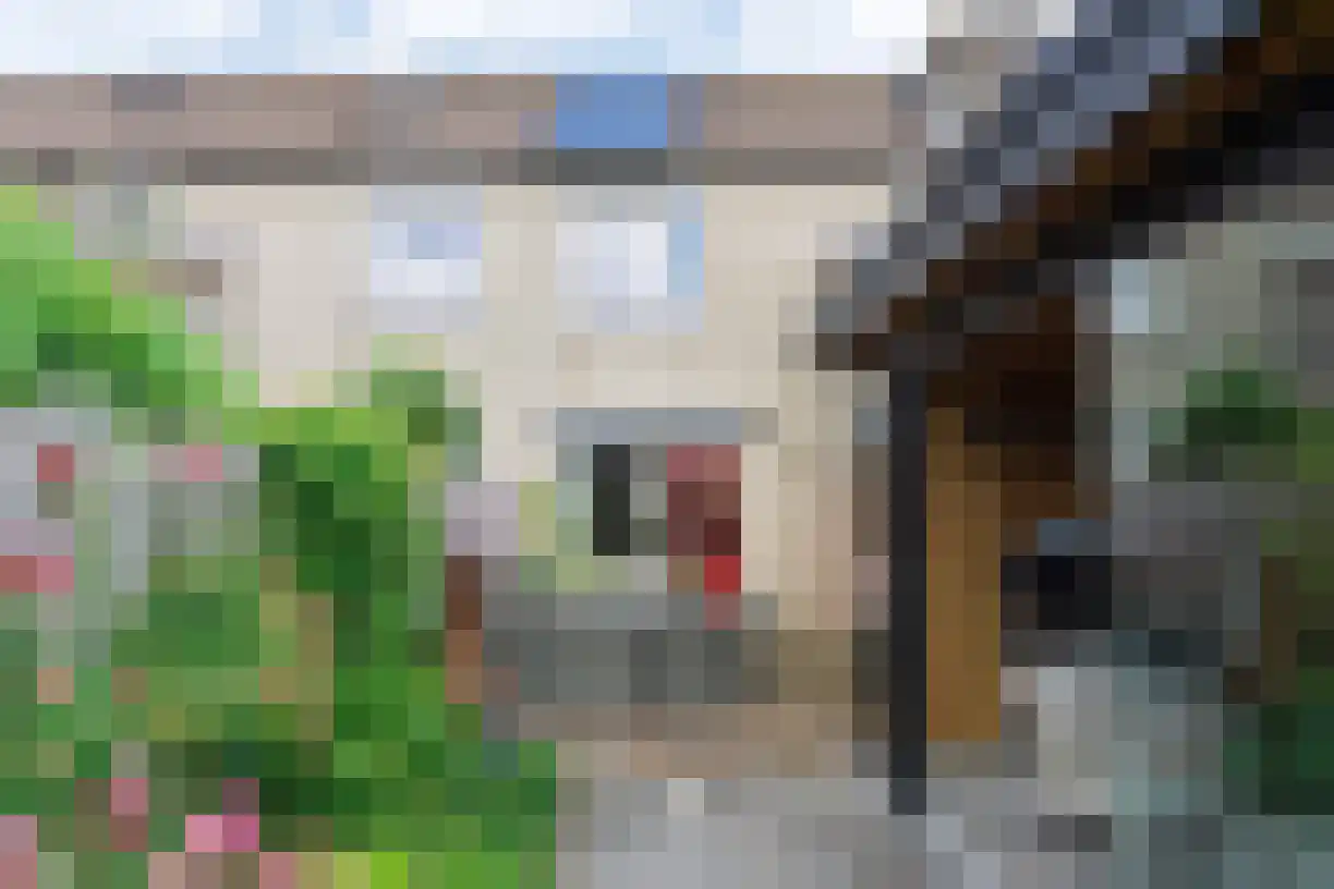 Kouwerve 12 Bergen op Zoom thumbnail 26