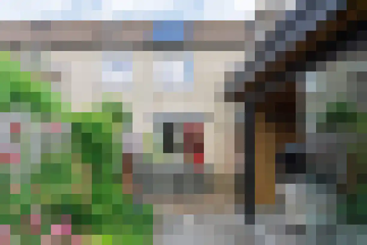 Kouwerve 12 Bergen op Zoom thumbnail 26